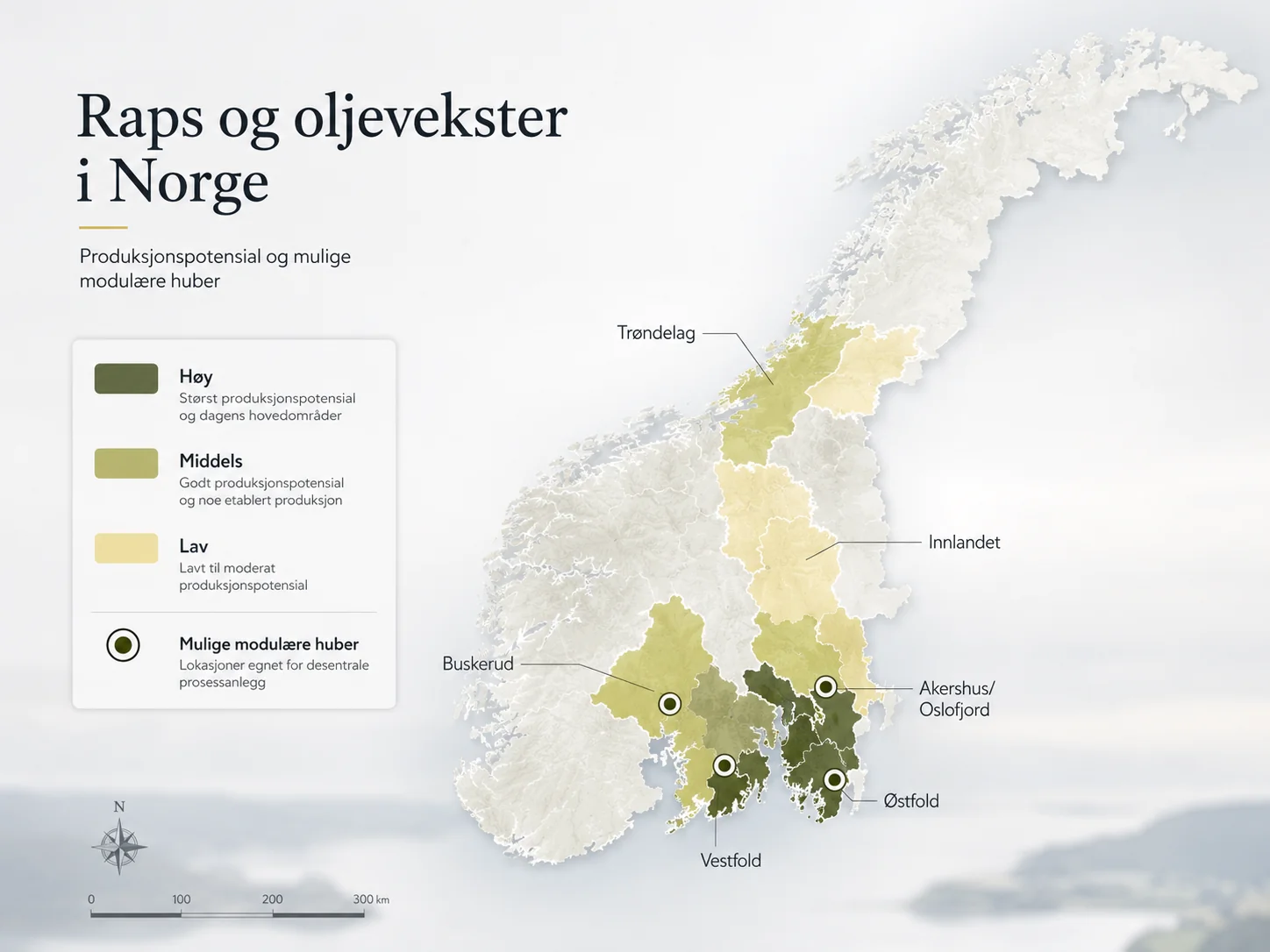 Illustrasjon av raps og oljevekster i Norge